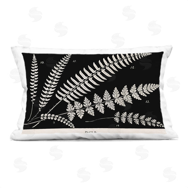 stupell industries Phillipa Katz | Fern Studies on Black Printed Throw Pillow