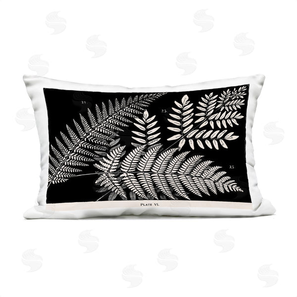 Stupell Industries Phillipa Katz | Fern Varieties On Black Printed Throw Pillow