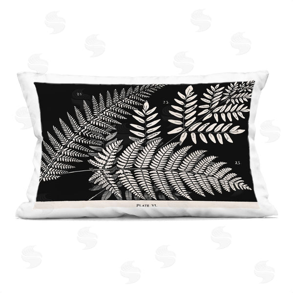 stupell industries Phillipa Katz | Fern Varieties on Black Printed Throw Pillow