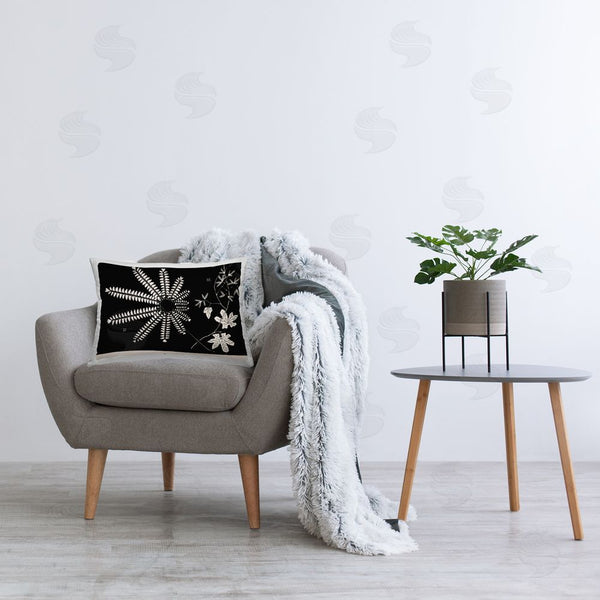 Stupell Industries Phillipa Katz | Ferns & Leaves On Black