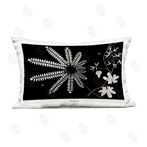 Stupell Industries Phillipa Katz | Ferns & Leaves On Black