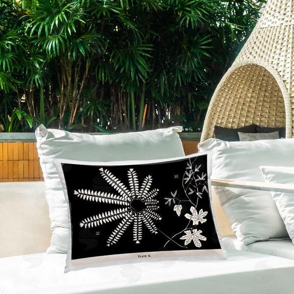 Stupell Industries Phillipa Katz | Ferns & Leaves On Black
