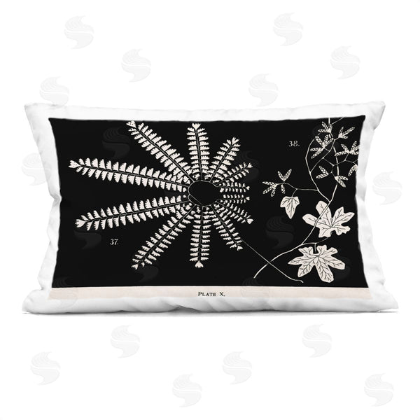 stupell industries Phillipa Katz | Ferns & Leaves on Black