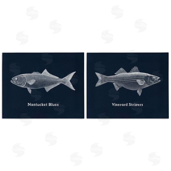 stupell industries Phillipa Katz | Harbor Fish Phrases