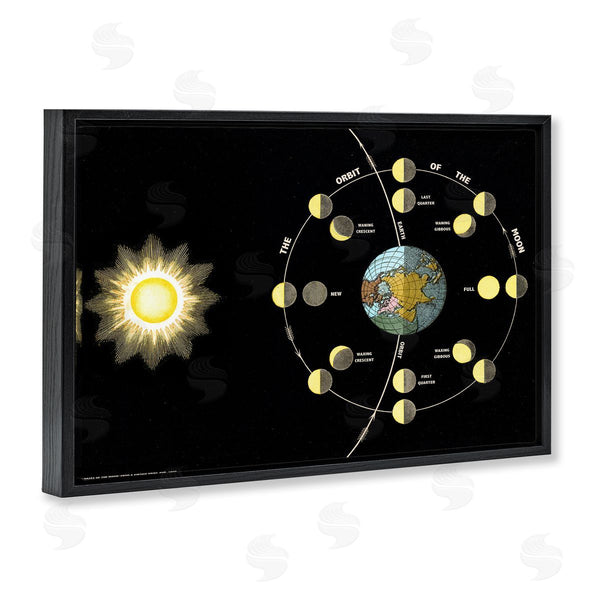 Stupell Industries Phillipa Katz | Moon's Orbit & Phases