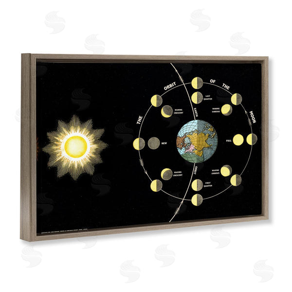 Stupell Industries Phillipa Katz | Moon's Orbit & Phases