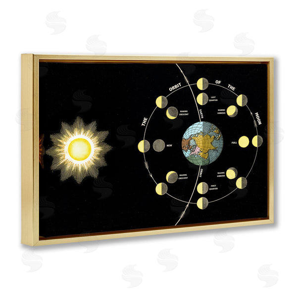 Stupell Industries Phillipa Katz | Moon's Orbit & Phases