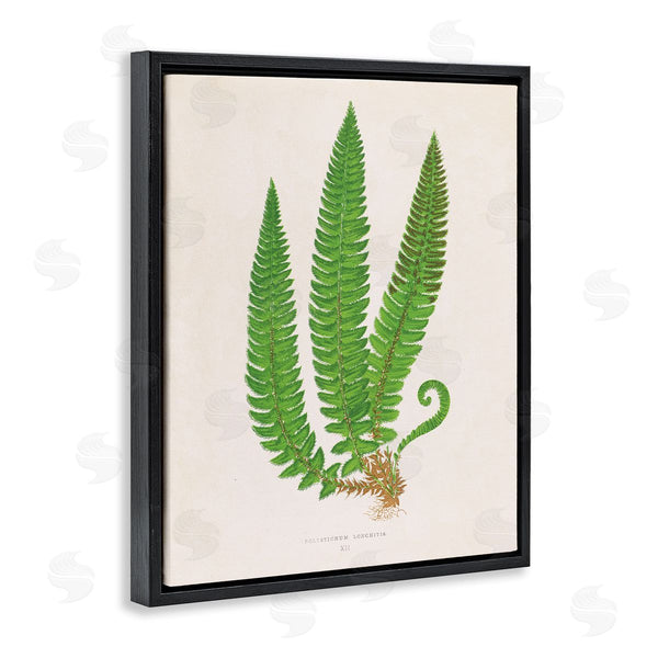 Stupell Industries Phillipa Katz | Natural Fern Branch Trio