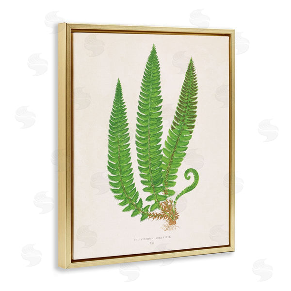 Stupell Industries Phillipa Katz | Natural Fern Branch Trio