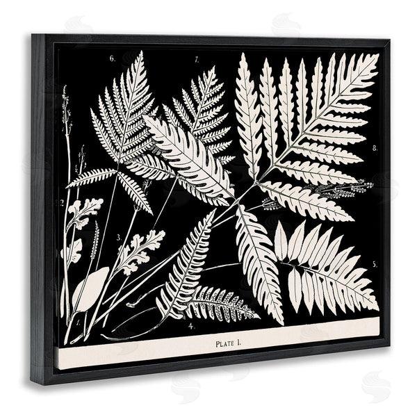 Stupell Industries Phillipa Katz | Overlapping Ferns On Black