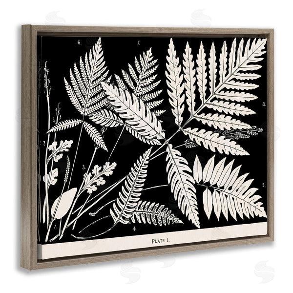 Stupell Industries Phillipa Katz | Overlapping Ferns On Black