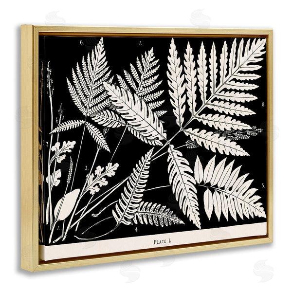 Stupell Industries Phillipa Katz | Overlapping Ferns On Black