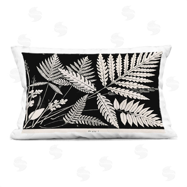 stupell industries Phillipa Katz | Overlapping Ferns on Black Printed Throw Pillow