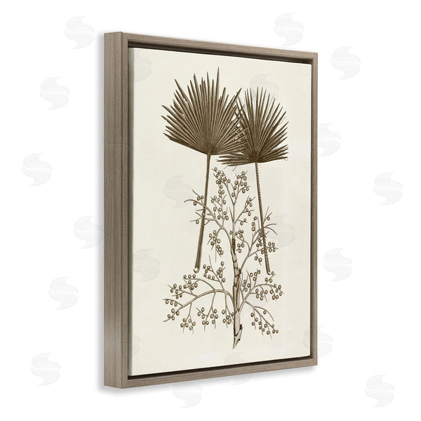 Stupell Industries Phillipa Katz | Palm Leaf & Olive Branches