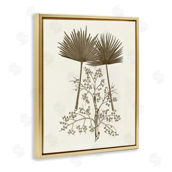 Stupell Industries Phillipa Katz | Palm Leaf & Olive Branches