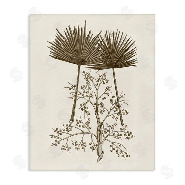 stupell industries Phillipa Katz | Palm Leaf & Olive Branches