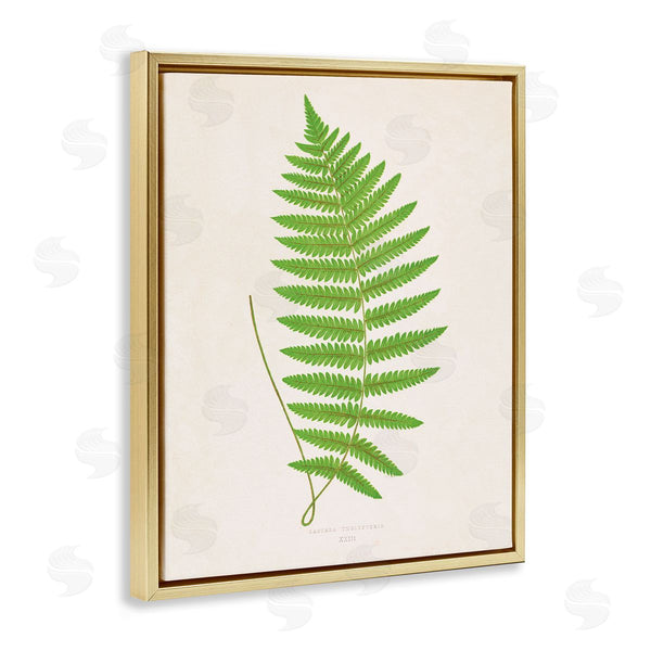 Stupell Industries Phillipa Katz | Single Fern Branch