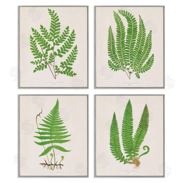 Stupell Industries Phillipa Katz | Subtle Green Fern Branches Wall Art