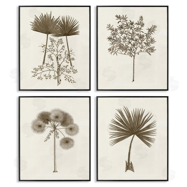 Stupell Industries Phillipa Katz | Various Vintage Palm Leaves Wall Art