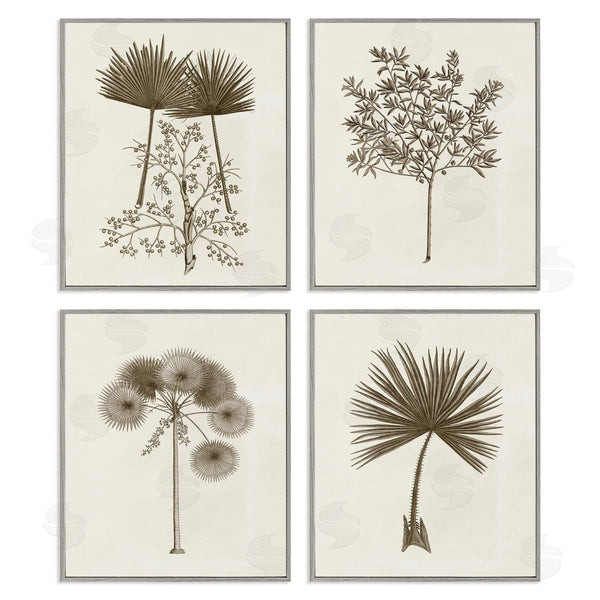 Stupell Industries Phillipa Katz | Various Vintage Palm Leaves Wall Art
