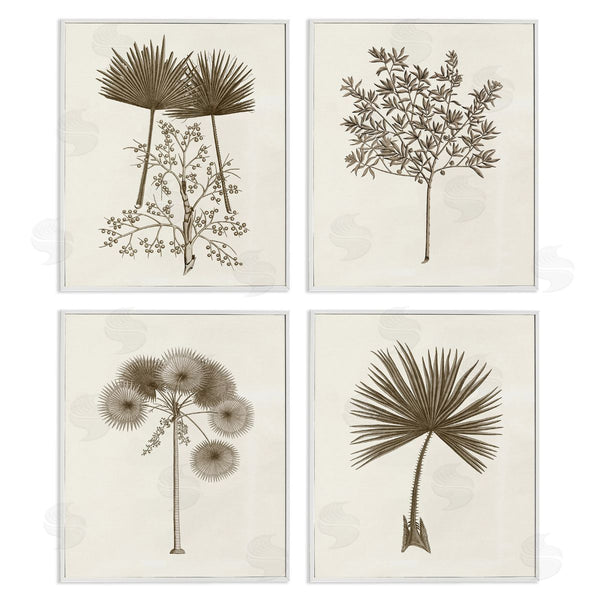 Stupell Industries Phillipa Katz | Various Vintage Palm Leaves Wall Art