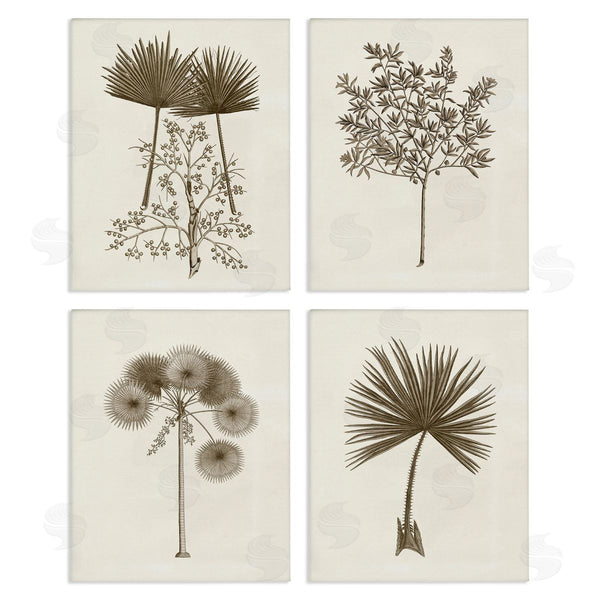 stupell industries Phillipa Katz | Various Vintage Palm Leaves Wall Art