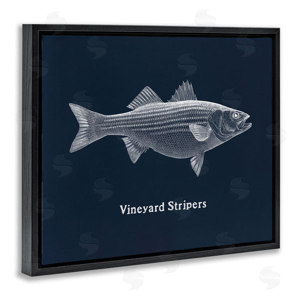 Stupell Industries Phillipa Katz | Vineyard Stripers Fish