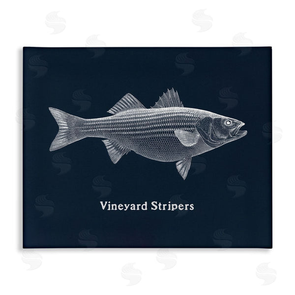 stupell industries Phillipa Katz | Vineyard Stripers Fish