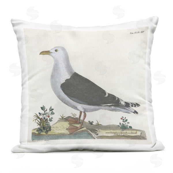 Stupell Industries Phillipa Katz | Vintage Seagull Study Diagram Printed Throw Pillow