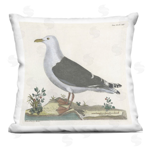 stupell industries Phillipa Katz | Vintage Seagull Study Diagram Printed Throw Pillow