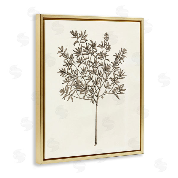 Stupell Industries Phillipa Katz | Vintage Study Of Olive Tree