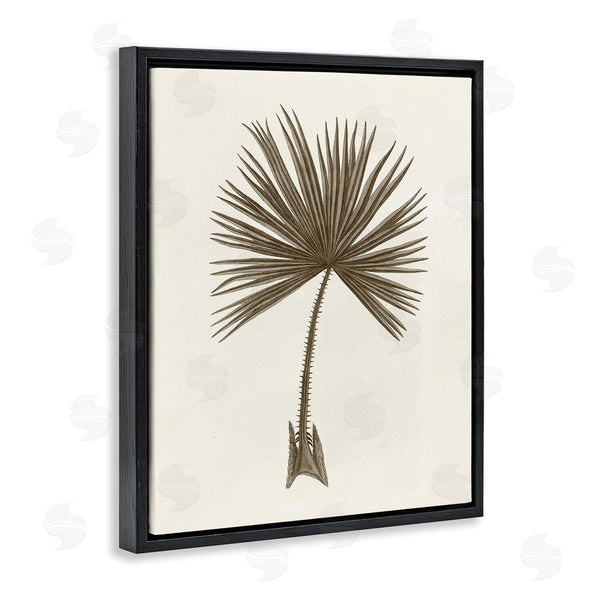 Stupell Industries Phillipa Katz | Vintage Study Of Palm Leaf