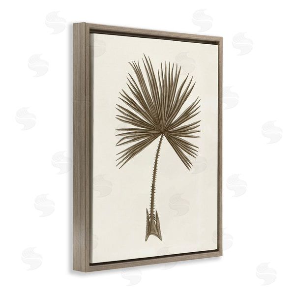 Stupell Industries Phillipa Katz | Vintage Study Of Palm Leaf