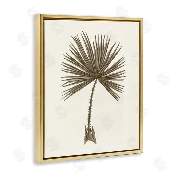 Stupell Industries Phillipa Katz | Vintage Study Of Palm Leaf