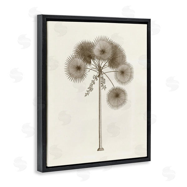 Stupell Industries Phillipa Katz | Vintage Study Of Palm Tree