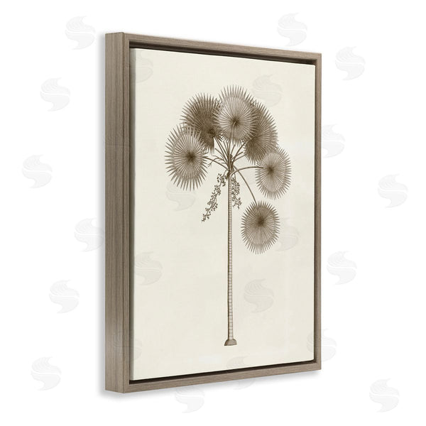 Stupell Industries Phillipa Katz | Vintage Study Of Palm Tree