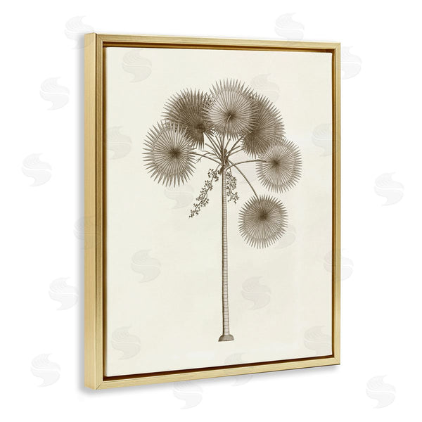 Stupell Industries Phillipa Katz | Vintage Study Of Palm Tree