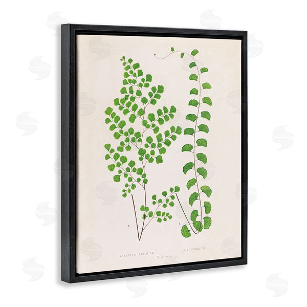 Stupell Industries Phillipa Katz | Vivid Green Ferns Study