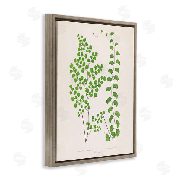 Stupell Industries Phillipa Katz | Vivid Green Ferns Study