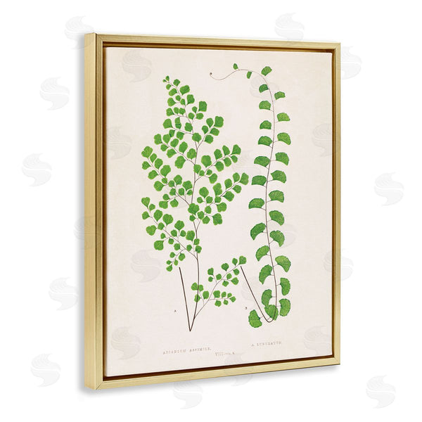 Stupell Industries Phillipa Katz | Vivid Green Ferns Study