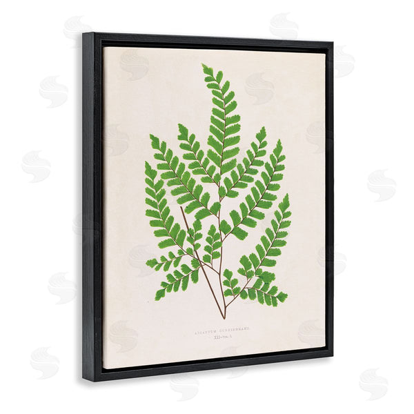 Stupell Industries Phillipa Katz | Woodland Sprigs Study