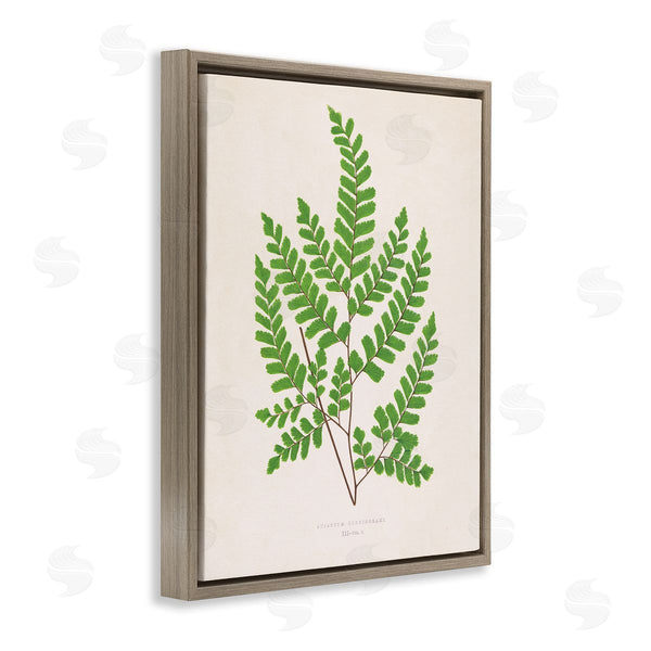 Stupell Industries Phillipa Katz | Woodland Sprigs Study