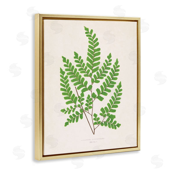 Stupell Industries Phillipa Katz | Woodland Sprigs Study