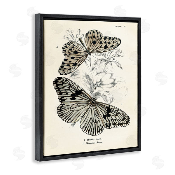 Stupell Industries Piddix | Butterfly & Herb Studies Wall Art