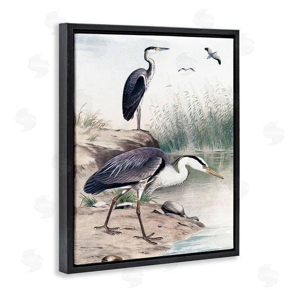 Stupell Industries Piddix | Heron Birds On Lake Shore Pampas Grass Nature Wall Art