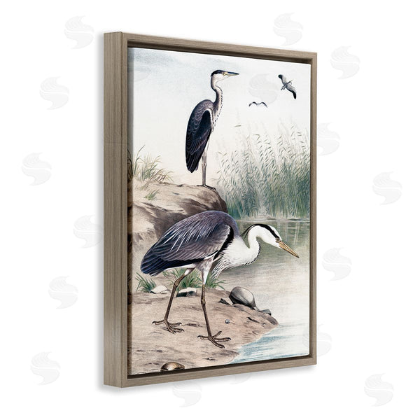 Stupell Industries Piddix | Heron Birds On Lake Shore Pampas Grass Nature Wall Art