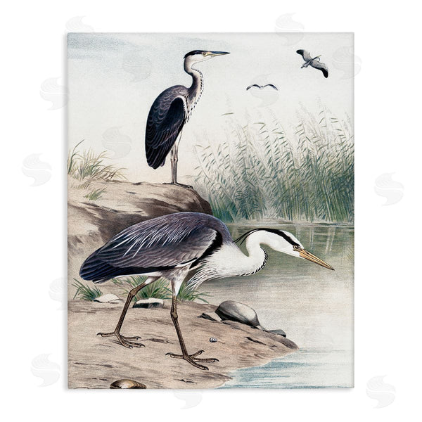 stupell industries Piddix | Heron Birds on Lake Shore Pampas Grass Nature Wall Art
