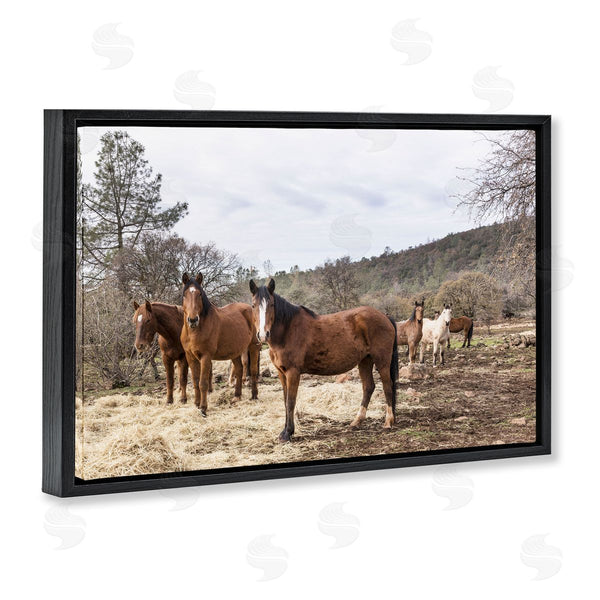 Stupell Industries PIDDIX | Horse Family Grazing Land