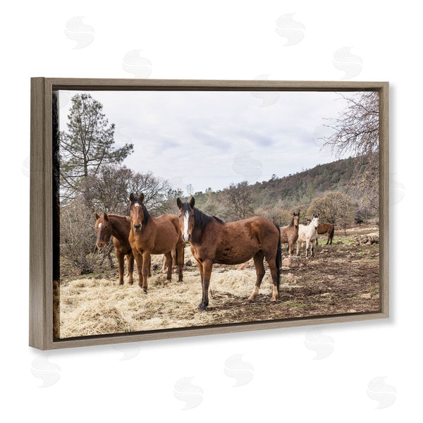 Stupell Industries PIDDIX | Horse Family Grazing Land