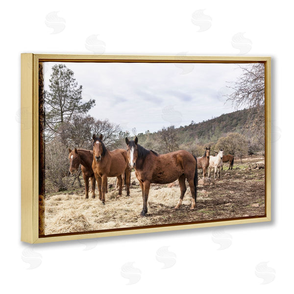 Stupell Industries PIDDIX | Horse Family Grazing Land